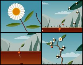 Your task is to grow your plant and make sure it survives by growing new leaves, roots and seeds. Choose your strategy how to grow the plant and make seeds as much as possible. Use Mouse to play this game.