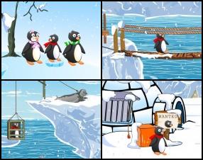 Somehow nature separated you from your family. Your task is to find your way through whole Antarctica to get back to your penguin parents. Use your mouse to point and click on different objects, combine them and pass every scene.
