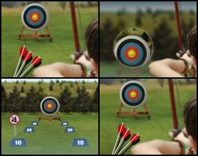 Use your arrow and the bow to hit the bullseye. Aim carefully to set highest score. Only 3 stages but it's enough to prove that your are a Arrow Master. Don't forget that wind and distance efforts on your shoot. Use mouse to aim and fire.