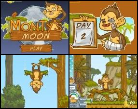 Your task is to assist Monty to reach the earth's satellite. I don't know nothing about his plans but anyway help him. There are 35 upgrades, 4 power ups and many more. Collect bananas on your way to heaven.