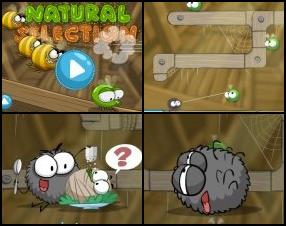 In wild nature you have to options: survive or die. Your task is to help little spider to find food and avoid enemies that are looking after him. Use your mouse to use your spider web and crawl against the walls and other platforms to reach your dinner.