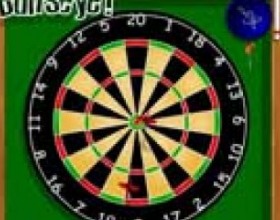 Bullseye - The game rules are the same as a standard game of 501 darts. You must score points to reduce your remaining score from 501 to zero in as little darts as possible. You must also checkout on a double or the bullseye. To throw your darts press the SPACEBAR. Good Luck!