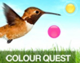 Color Quest - Попробуйте собрать все цветные шарики и при этом ни во что не врезаться. Управление мышкой. Удерживание клика - движение вверх, отпустить мышку - падение. Очень милая и красочная игра с очаровательной птичкой-колибри.