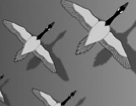 Endless Migration - Your task is to guide birds safely through dozens of aircraft, obstacles, inclement weather conditions. How long can you do this? Move mouse to guide leader bird. Pick up other birds to increase your flock size to get highest score and increase your chances to survive.