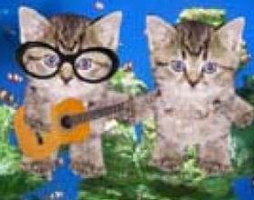 Fish song - Two sweet kittens are singing a song about fishes. Do you know exactly what they like to do with fishes? Not only to eat them. Their fantasies are also shown in funny actions. Listen to this Fish song and enjoy this funny video-clip.