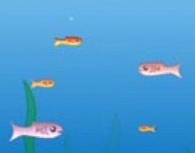 Fishy - Выживает сильнейший и самый большой! Кушай рыбок, которые меньше тебя, чтобы становиться больше по размеру и сжирать остальных до тех пор, пока не перестанешь помещаться в аквариуме. Используй стрелки клавиатуры, чтобы управлять своей рыбкой.