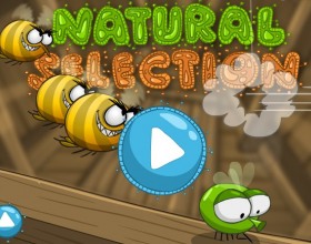 Natural Selection - In wild nature you have to options: survive or die. Your task is to help little spider to find food and avoid enemies that are looking after him. Use your mouse to use your spider web and crawl against the walls and other platforms to reach your dinner.