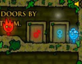 The Forest Temple - Your aim in this platform game is to make sure Fire Boy and Water Girl reaches the exit doors. Control both characters at the same time to solve puzzles. Use the Arrow keys to control Fire Boy. Use the W A S D keys to control Water Girl.