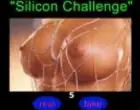Silicon challenge