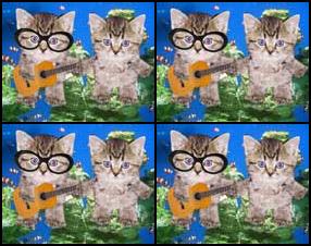 Divi mīļi kaķēni ģitāras pavadījumā izpilda dziesmu par zivīm. Vai esi pārliecināts, ka kaķi tikai ēd zivis? Kas padara šo videoklipu vēl smieklīgāku ir interesantie dziesmas vārdi, kas ir arī atspoguļoti darbībās.