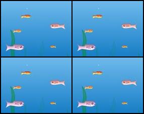 Eat all fishes which are smaller than you to became bigger and eat them all. :) Use arrow keys to control your fish. :) The bigger the fish, the more you will grow, and the more points you will receive!