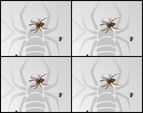 Try to eat as many flies, as you can before someone kills them with a fly swatter. Run away when you see a shadow, if you don’t want to get killed, too. Use arrow keys to move around, press space to catch a fly.