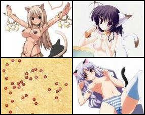 Hentai Catgirl