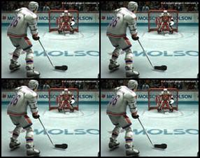 Shoot the hockey puck and try to make goals. Use your mouse to aim and shoot. Shot Angle changes after a while. Remember, You are the champion! :)