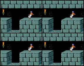 You have 8 minutes to navigate the dungeon to the Vizier’s throne room and stop him from unleashing the sands of time! Use the arrow keys on your keyboard to move the Prince in all direction. Use the SHIFT key to grab onto ledges and pick up items, and hold SHIFT while pressing the arrow keys to walk. Walking allows the Prince to stand more closely on edges and pass through spikes.