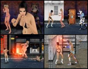 In this game you play as a sexy female crime fighter. There's too much dirt and crime on the streets and you have to stop all those criminals. Complete all 14 levels, maybe there will be some reward, maybe not, I don't know. Use arrow keys to move, Space to jump, Z or X to attack, C to defend, P to pause the game.
