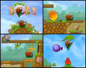 Your task is to help Snail Bob reach the exit in every level. Solve various puzzles to avoid dangers and obstacles to reach the goal. Use Mouse to click on different tools to activate them. Click on the Bob to stop him, click again to get him going.