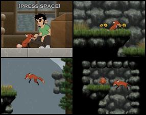 This is a simple and good game. It's based on other adventure of running around in the woods games. Use W A S D or arrow keys to move your fox around. Press Shift to view the status screen. Game saves automatically.