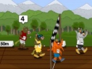 Animal Raceway - 1 