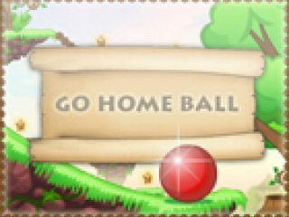 Go Home Ball - 3 