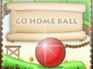 Go Home Ball