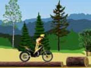 Stunt Dirt Bike