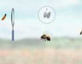 Collector - You are catching butterflies with a device that looks like a ring with soap bubbles. you must aim your "weapon" on a butterfly and click to catch an insect. Beware of wasps - they destroy bubbles and you loose points.