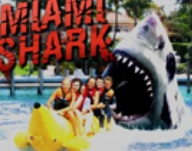 Miami Shark - Prove that you are the toughest fish in the ocean. Jump onto boats and bite down on swimmers. Only total havoc will fill your rage. Use W A S D keys or arrows to move. Press CTRL or V to bite. Dive down deep and then straight up to make a high jump.