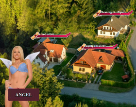 Pornstar Harem