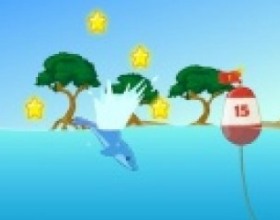 Star Splash - Now you have to control dolphin and collect as much stars as possible in order to pass the level. Use perfect timing and balance your dolphin while in the air to move through desired paths. Use Arrow keys to move your dolphin. While you're in the air you can dash, double jump and dive. Catch special stars by pressing Space.