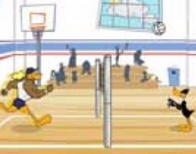 Tricky duck volleyball - Gain tricky moves by using your volleyball skills and help Daffy beat stone cold in a volleyball match. Use the arrow keys to control Daffy Duck. SPACE BAR – serve and hit ball. Z- super slam X- super block C- front flip V- break dance.