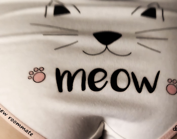 EPNR v0.12 public  0.11DLC