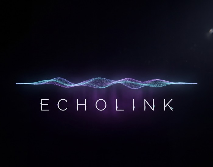EchoLink