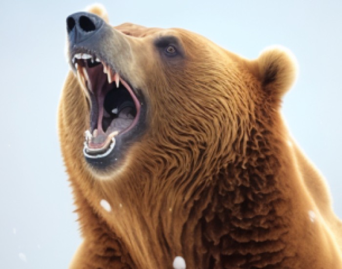 Space Overlord (v0.7)