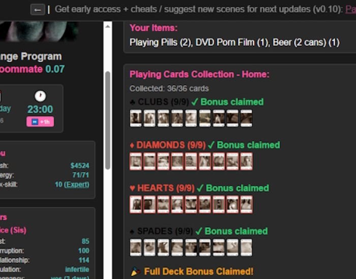 Exchange Program: New Roommate