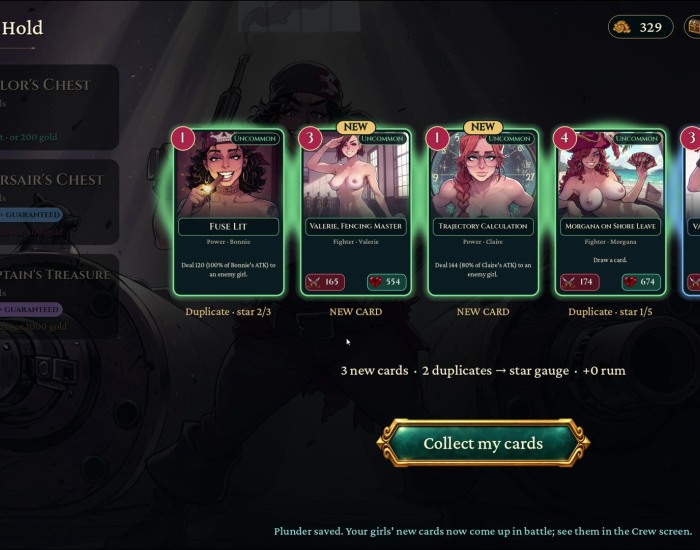 Plunder and Booty: High Seas Harem