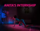 Anita's Internship