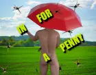 In for a Penny