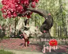 New Beginnings in Japan