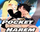 Pocket Harem