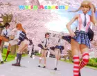 Waifu Academy