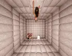 White Cube