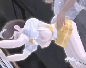 A Waitress of the Family Restaurant in the Backstreet