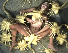 Confinement Basement