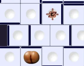 Four Balled Six Cocker